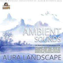 Сборник - Aura Landscape: Ambient Sound (2021) MP3