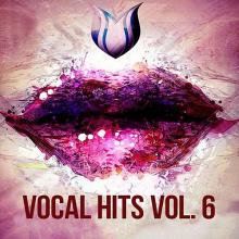 Сборник - Vocal Hits Vol. 6 (2020) MP3