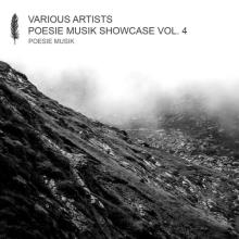 Сборник - Poesie Musik Showcase Vol. 4 (2020) MP3