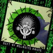 Сборник - Best Of Melodic House 2020 (2021) MP3