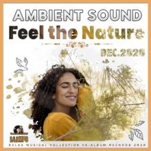 Сборник - Feel The Nature: Ambient Sound (2020) MP3