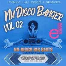 Сборник - Nu Disco Banger Vol.02 (2021) MP3